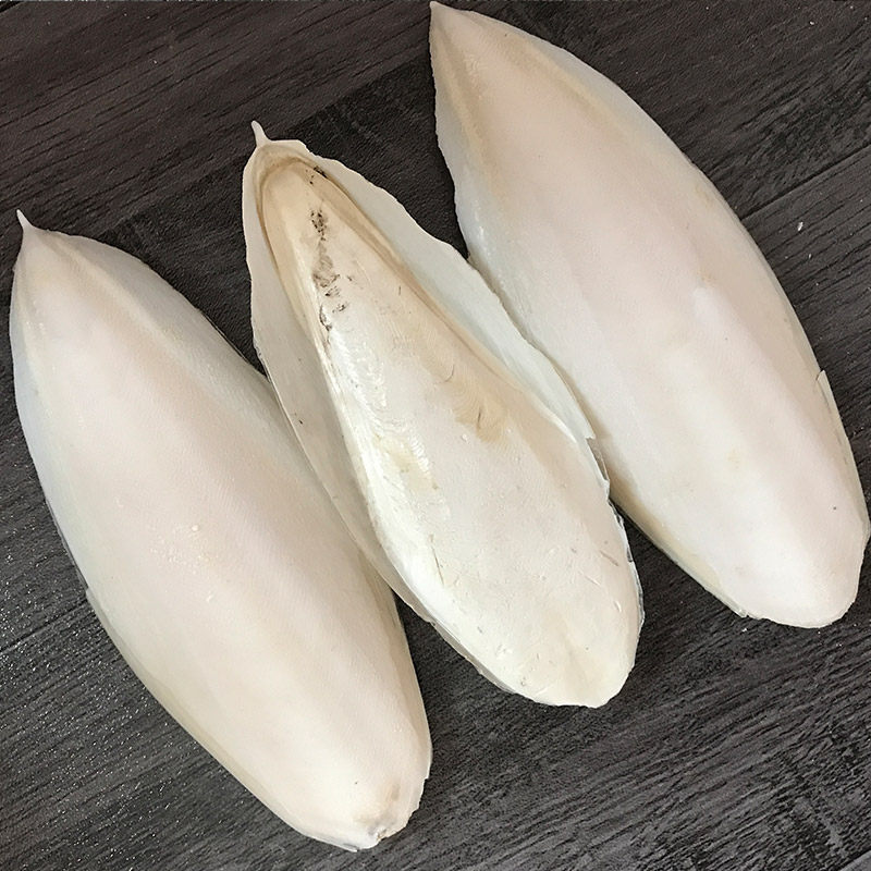 天然墨鱼骨鹦鹉专用宠物鸟用整个海螵蛸虎皮玄风八哥鸽子磨嘴散装,淘宝优惠券,粉丝福利购,淘宝优惠卷