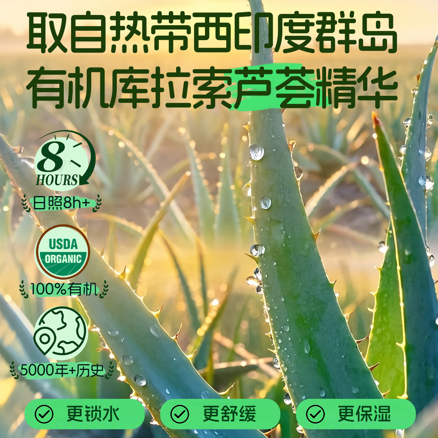 加州宝宝芦荟儿童面霜春夏婴幼儿专用保湿润肤乳干燥止痒滋润补水