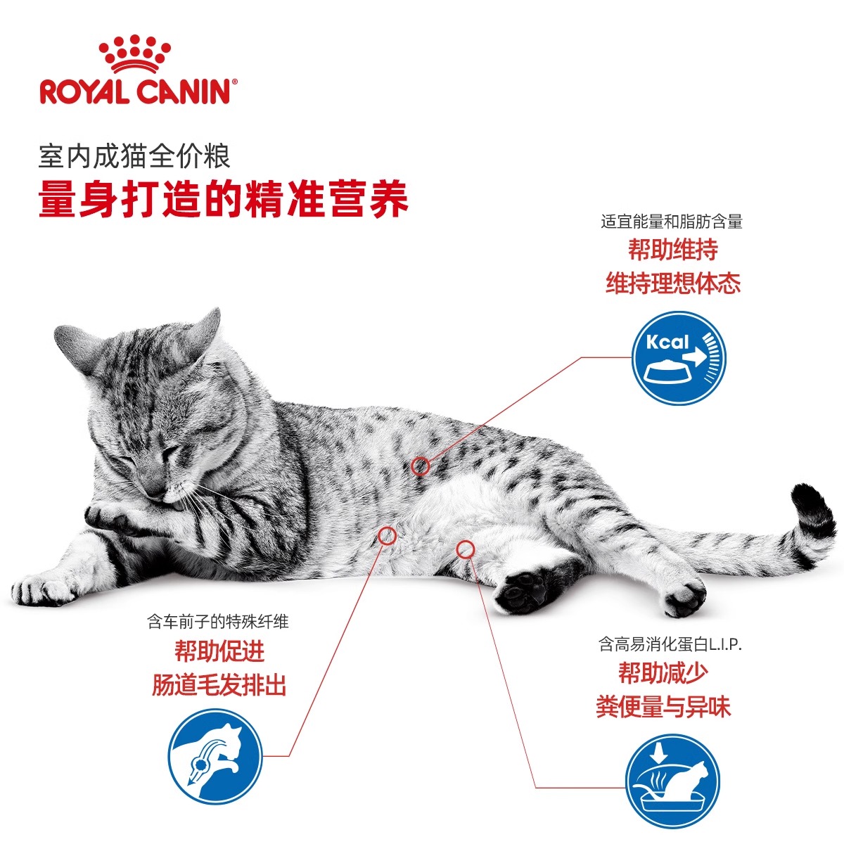 皇家猫粮F32营养成猫全价粮12kg大包装尝鲜英短美短通用理想体态 - 图1