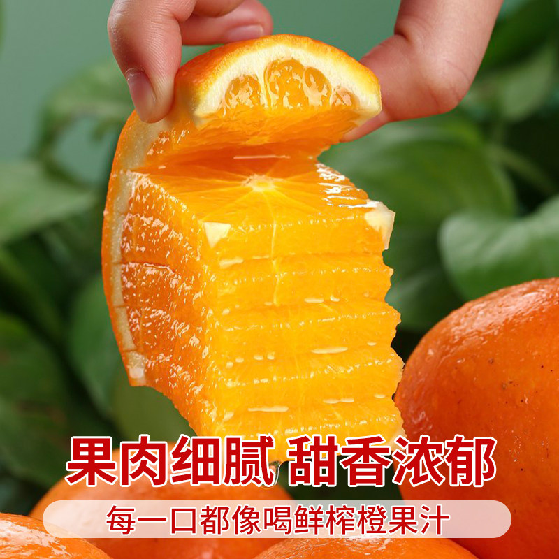顺丰正宗江西赣南脐橙20斤新鲜水果橙子应当季赣州甜整箱包邮10,淘宝优惠券,粉丝福利购,淘宝优惠卷