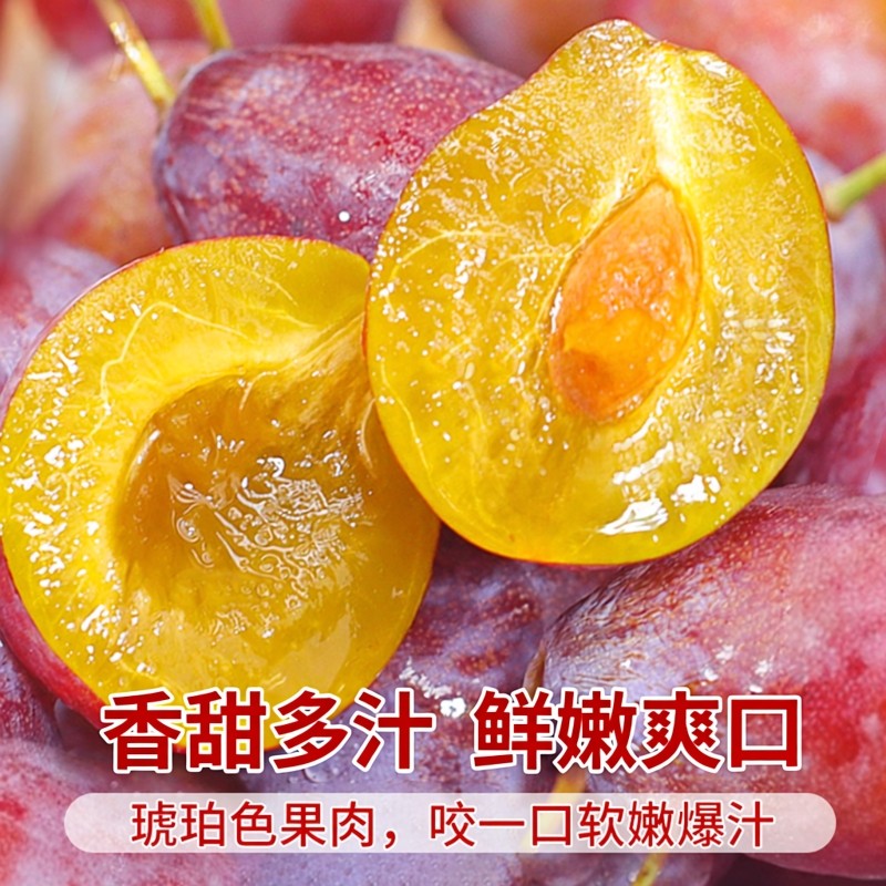 现货大果 澳洲进口西梅鲜果当季新鲜水果西梅礼盒孕妇李子法兰西,淘宝优惠券,粉丝福利购,淘宝优惠卷