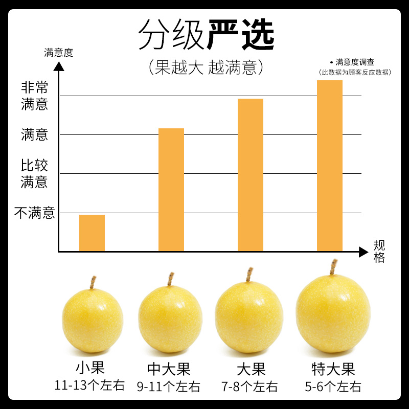 福建黄金特级大果邮5百香果图片_3