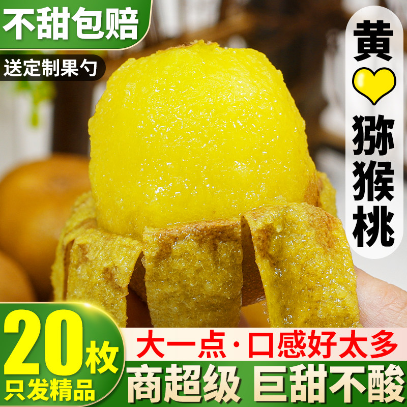 四川黄心猕猴桃新鲜弥猴桃当季水果礼盒奇异果宝宝辅食整箱包邮9