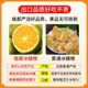 Origin straight hair authentic Yunnan rock sugar orange 25 new fruits