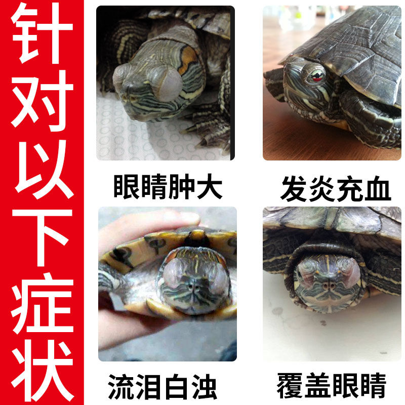 【乌龟白眼病专用】乌龟眼睛睁不开眼睛发炎红肿巴西龟白眼清护理