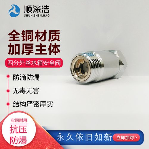 净水器烧水器商用饮水机单向阀净水机步进式水箱通用配件安全阀 - 图3