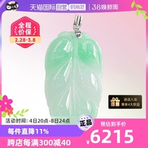 (self-employed) Myanmar import of light language ten light natural A goods emerald golden branch jade leaf pendant ice overdraft floating green