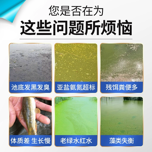 MU Product Composite EM бактерий порошковая вода.