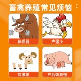 Звери аминокислотный политититимодин глюкоза Розовая куриная утка и устойчивость к гуси, свинья, крупный рогатый скот, добавки для пищи витамин