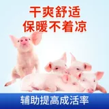 Свинья -свиньи -свинь