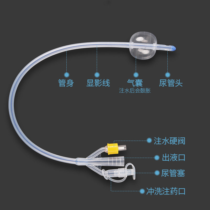 图2