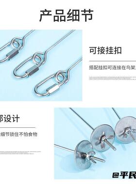 鸟用不锈钢水果蔬菜叉玄凤水果叉