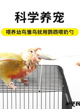 雏鸟喂奶勺子喂水鹦鹉喂食器虎皮