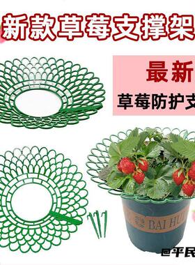 大小号园艺工具草莓架子种植架