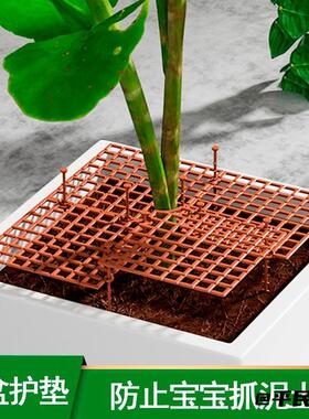 网盖透气固土防老鼠土植物倒出
