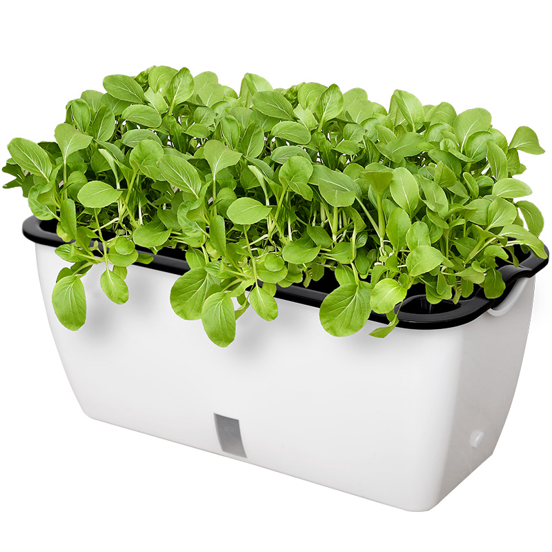 懒人花盆自动吸水种菜神器家庭阳台长方形塑料箱蔬菜种植盆栽专用-图3