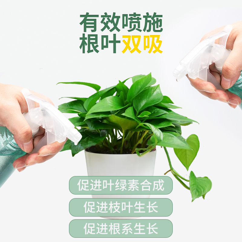 绿萝专用土养水培浓缩营养液植物通用型绿植花卉室内盆栽绿箩肥料-图1