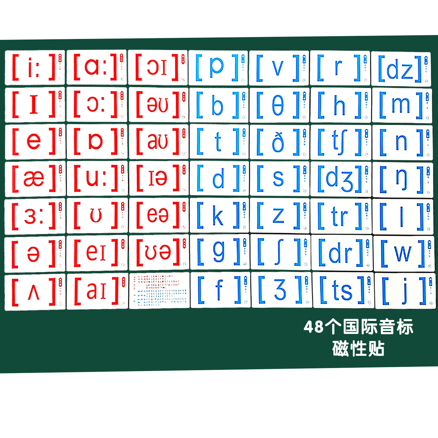 小学英语文教师教学专用大号48个国际音标卡片磁性吸力黑板贴教具 - 图3