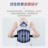 Медицинское и медицинское пояс поясничный диск грыжа диска поясничной мышцы деформация поясничной болеутоля