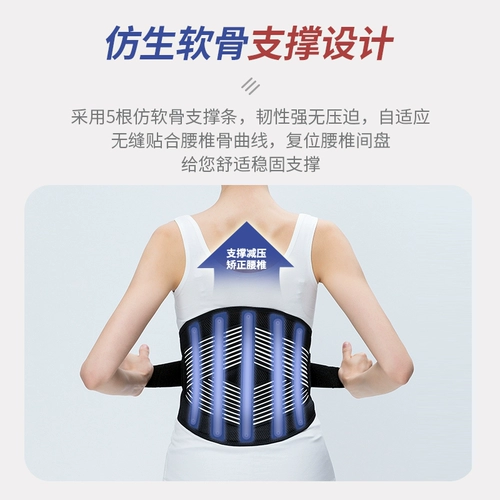 Медицинское и медицинское пояс поясничный диск грыжа диска поясничной мышцы деформация поясничной болеутоля