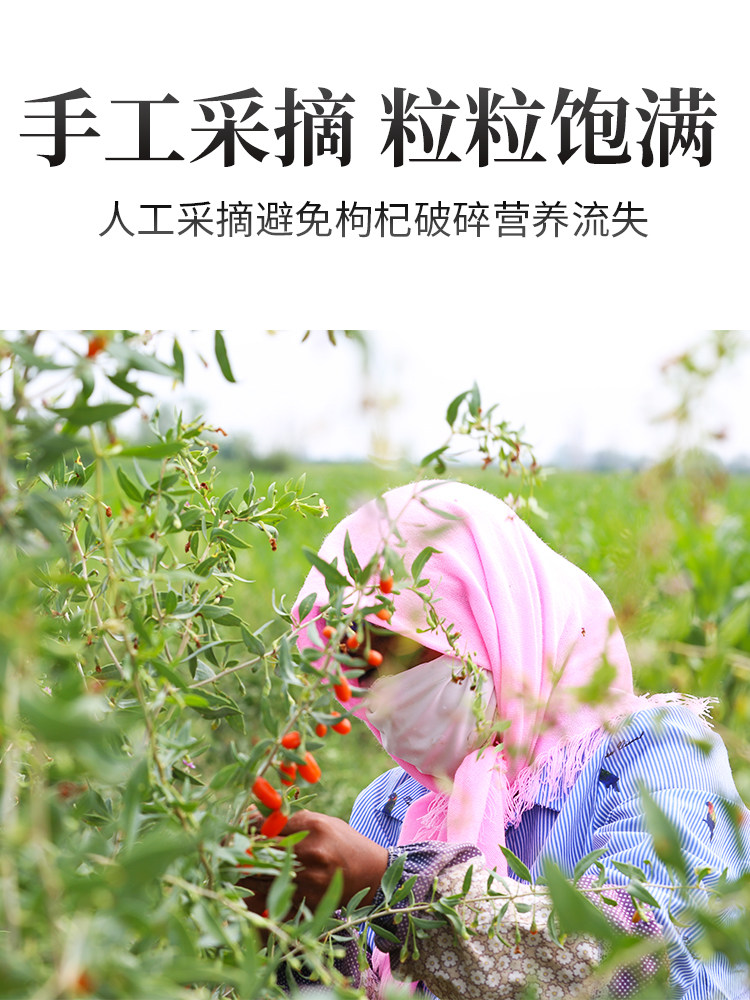 500g宁夏特级中宁大颗粒免洗枸杞子 九大时光枸杞