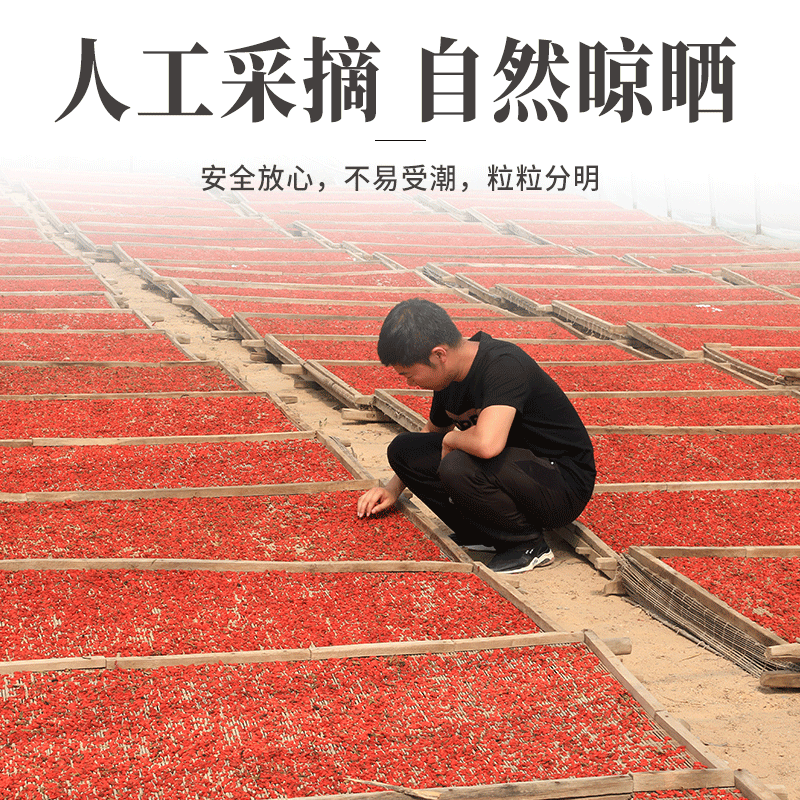 500g宁夏特级中宁大颗粒免洗枸杞子 九大时光枸杞