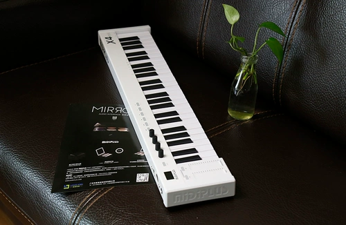 Профессиональный противовес, клавиатура, x8, x6, x2, x3, x4, 49/61/88, 88 клавиш