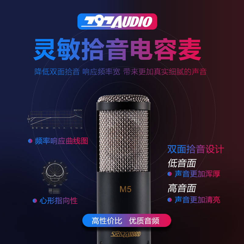 北京797 Audio M5专业录音电容话筒CV直播K歌麦克风配音吉他弹唱 - 图0