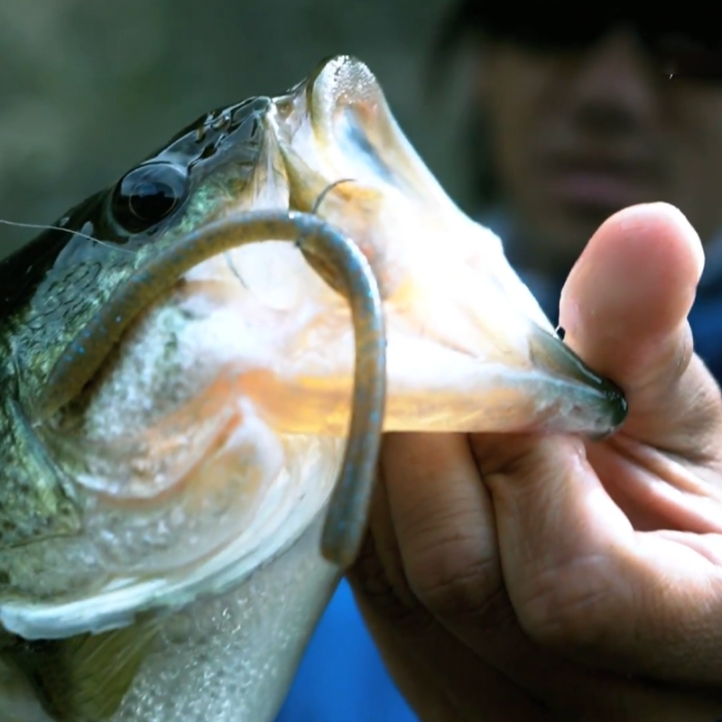 DSTYLE青木大介 Mighty Straight 面条虫无铅Wacky倒钓软饵路亚饵 - 图3