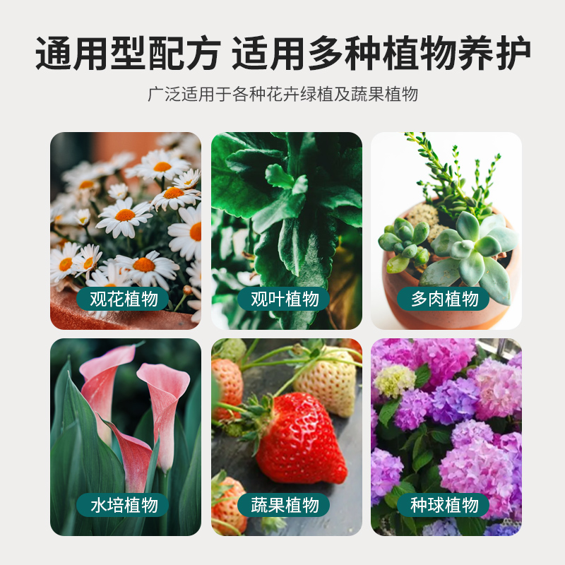 缓释肥花肥料复合肥家用盆栽植物通用多肉