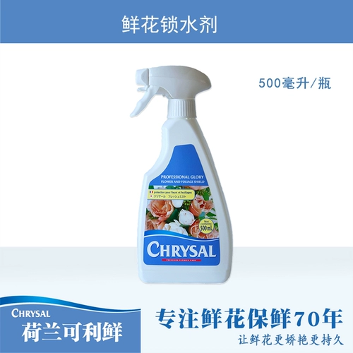 Импортированный голландский свежий Fresh Flower Fresh Fresh Spectaination Nutrition Slutin Lily Universal Bag Shop