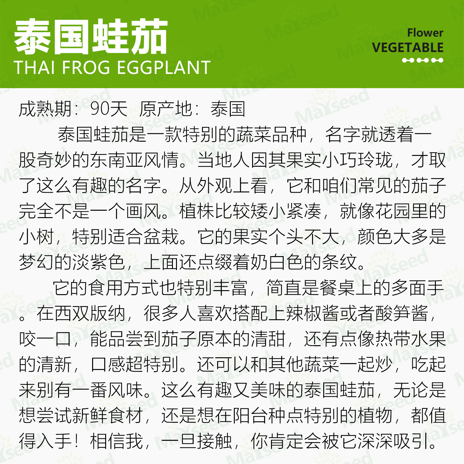 趣味可爱西双版纳泰国蛙茄热带清新风味庭院春秋蔬菜种孑子籽,淘宝优惠券,粉丝福利购,淘宝优惠卷