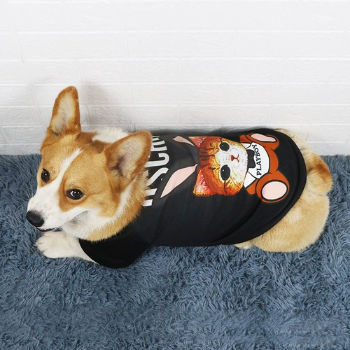 Собачья одежда Осенняя и Зимняя Корги Осенняя одежда средняя собака теплые щенки