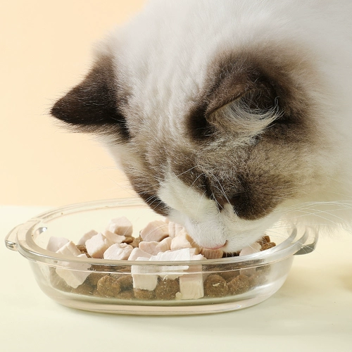 Замороженная кошка сушеное закуски для кошки куриная рыба, рыбное мясо, свежее мясо, сушеное питание, жир, сыр, котенок кошачья корма 100 г