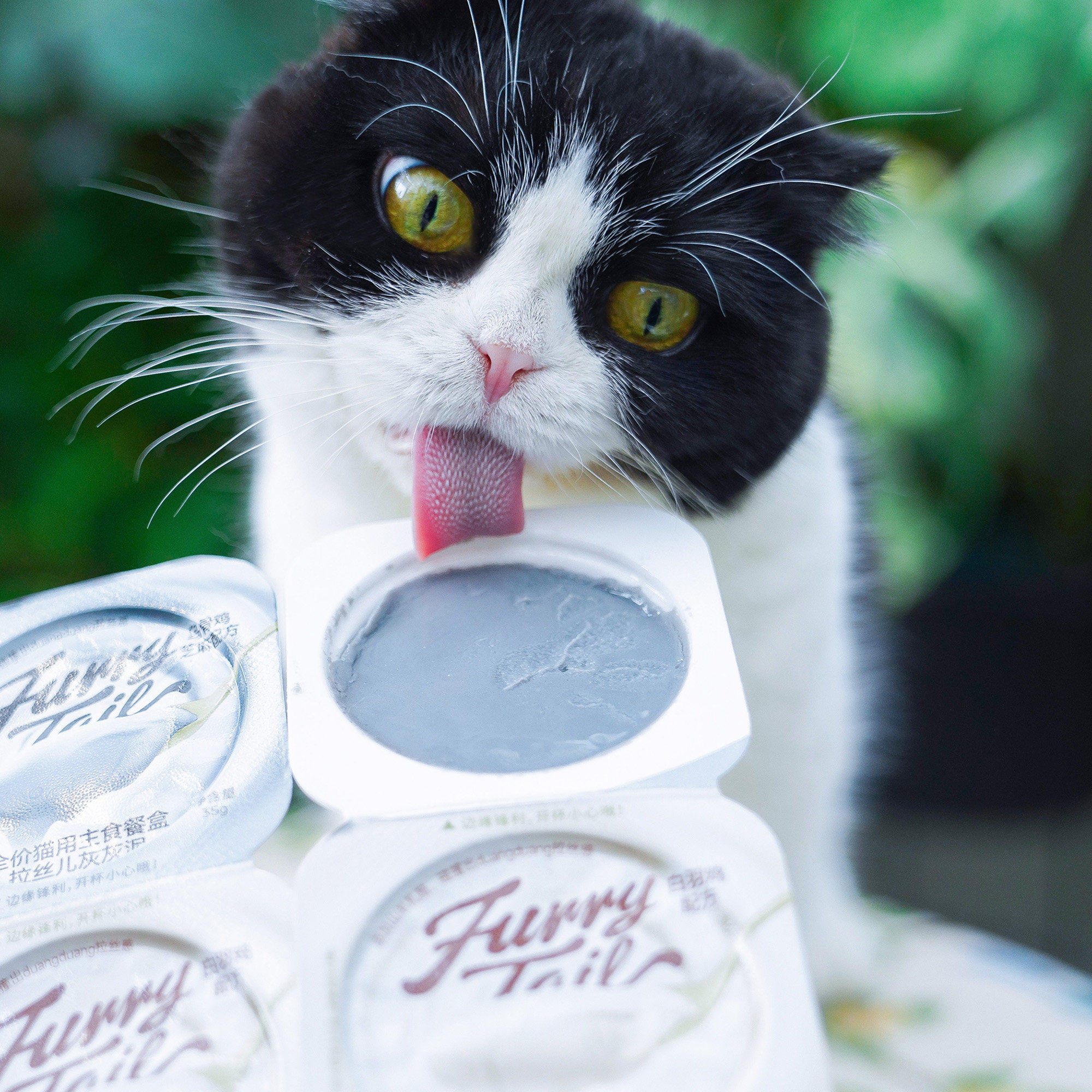 尾巴生活黑白泥彩虹泥猫主食罐成猫幼猫小克重猫罐头,淘宝优惠券,粉丝福利购,淘宝优惠卷