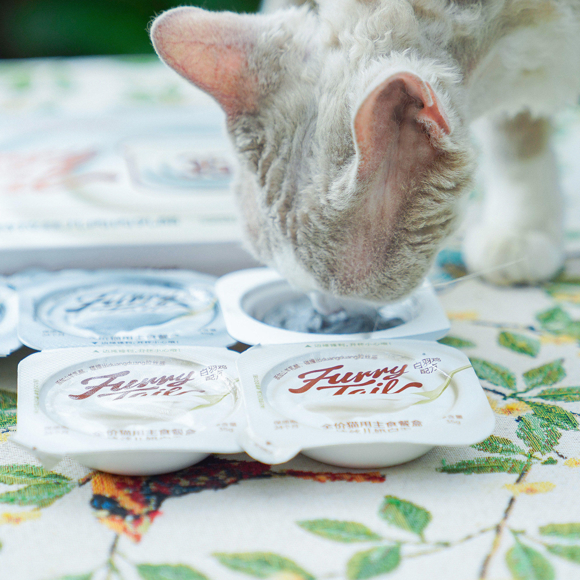 尾巴生活黑白泥彩虹泥猫主食罐成猫幼猫小克重猫罐头,淘宝优惠券,粉丝福利购,淘宝优惠卷