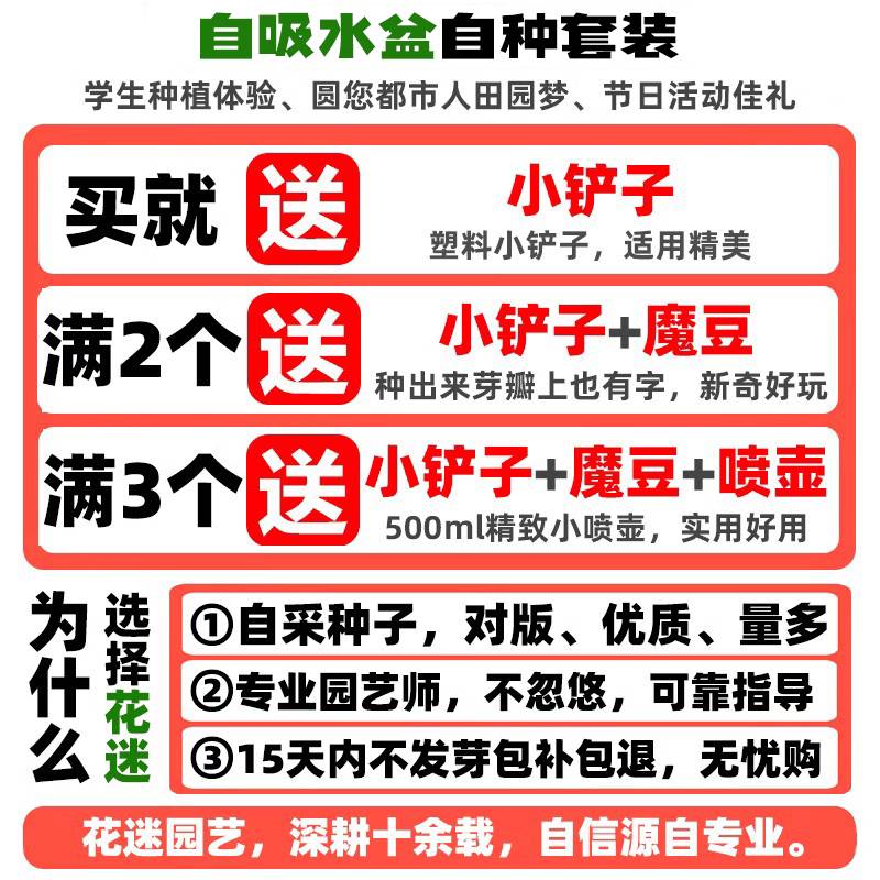 儿童种植盆栽迷你绿植物盲盒生长迷你罐头种子幼儿园盲盒杯草娃娃 - 图2