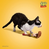 Gigwi-это игрушка для кошек Disney Limited Selfexy Toys, чтобы снять зубные моляры и кошачья леденец