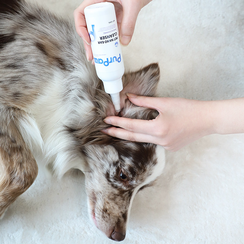 GiGwi贵为狗狗猫咪耳部清洁液耳垢耳臭洗耳朵液猫狗耳朵清洁液,淘宝优惠券,粉丝福利购,淘宝优惠卷