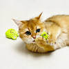 Precious paper plush feather cat toy