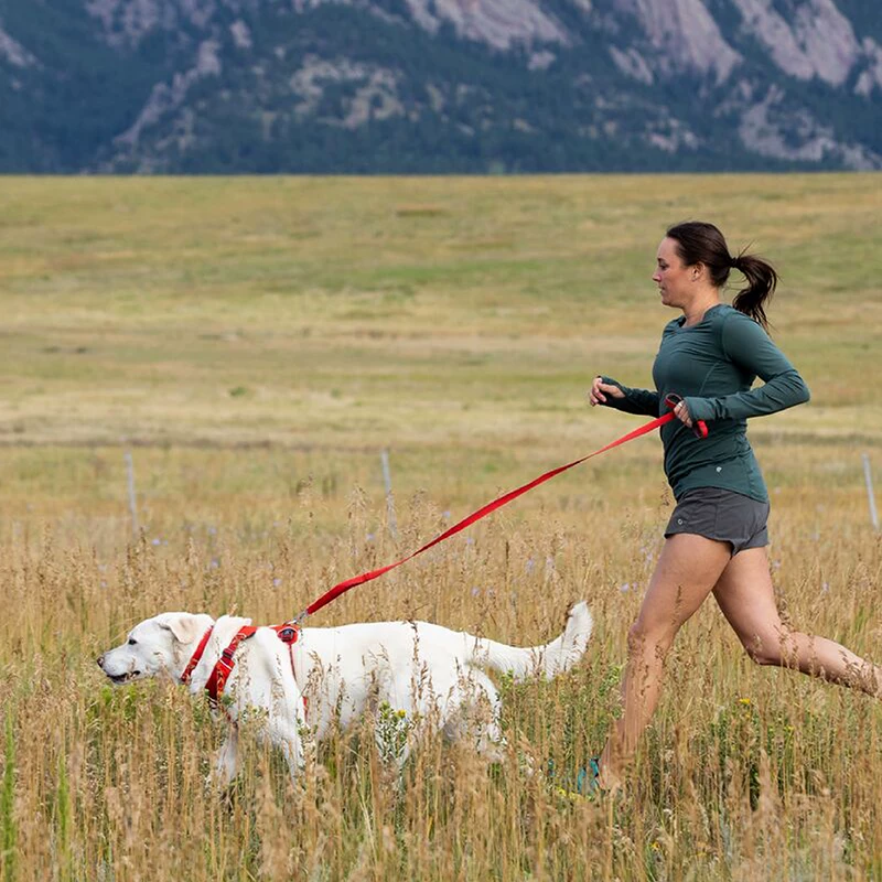 Поясной ошейник Ruffwear передний для собак среднего и большого размера, маленький собачий ошейник, ошейник для питомца, ошейник для собак