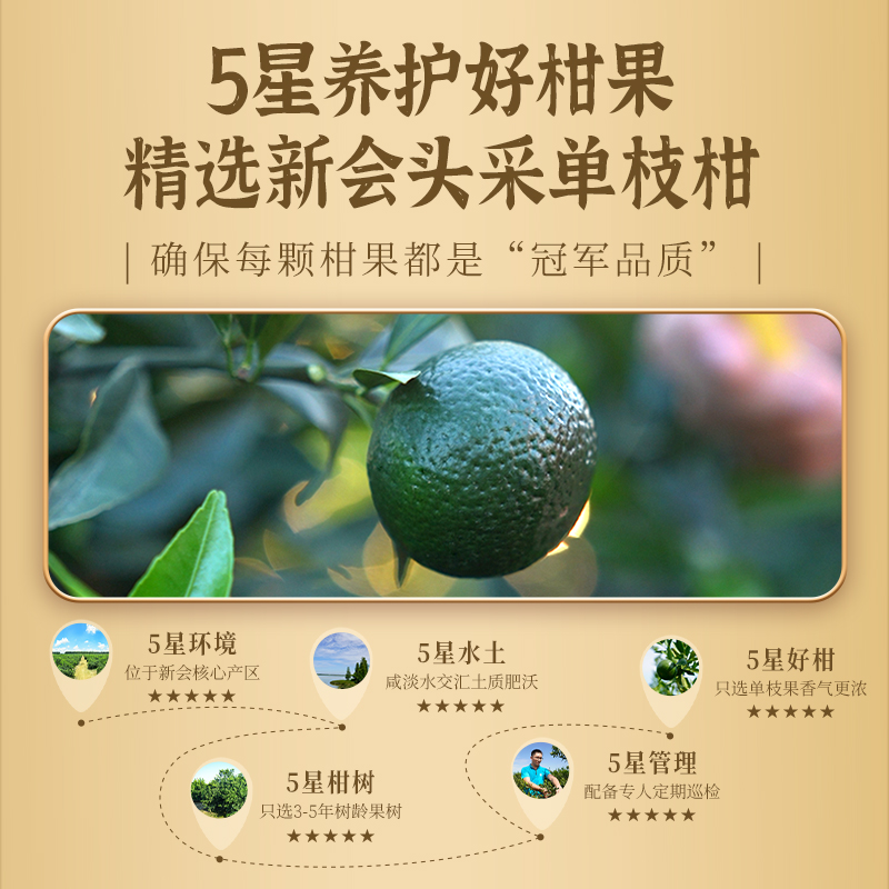 【新品】澜沧古茶24年茶妈妈小青柑普洱茶熟茶新会陈皮柑普茶250g