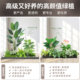 10% off on new Songyu landscaping stair corner window decoration products