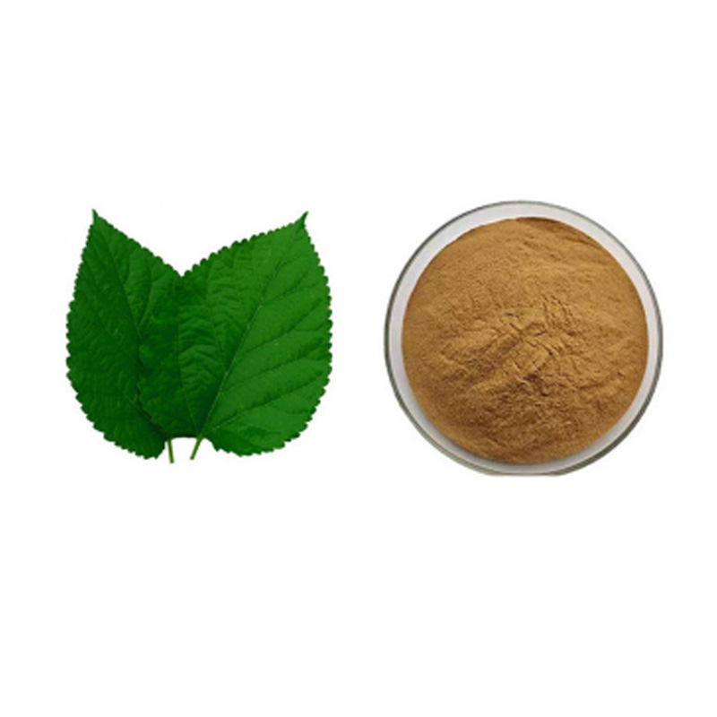 桑叶提取物霜桑叶提取物粉末 mulberry leaf extract植物原料-图3