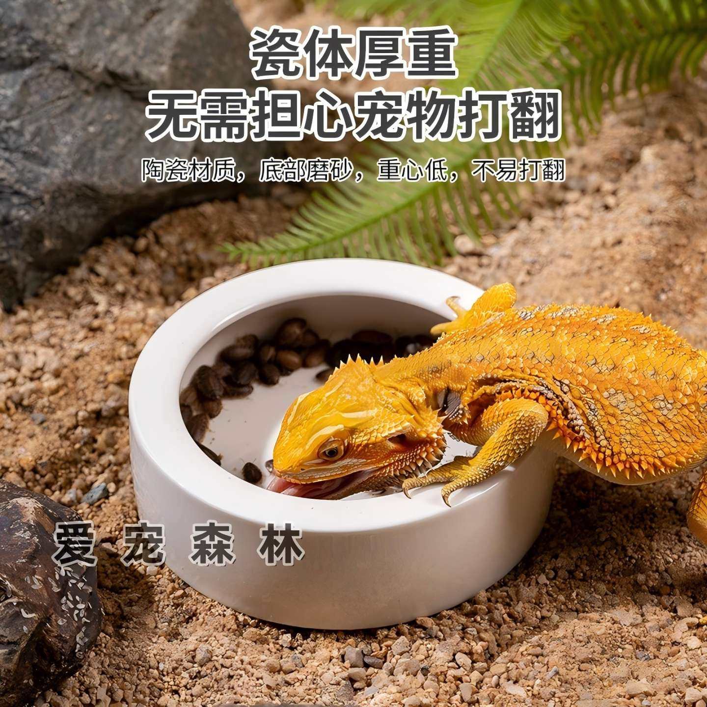 爬宠水盆睫角守宫食盆鬃狮蜥专用蟋蟀面包虫杜比亚蟑螂防逃脱食盆,淘宝优惠券,粉丝福利购,淘宝优惠卷