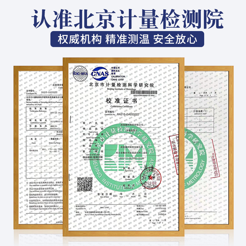 冰箱专用温度计室内家用精准冰柜冷藏留样保鲜高精度测湿度表记录 - 图2
