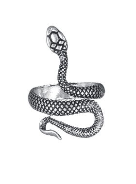 Rings for Men Women Punk Goth Snake Dragon Silver Plated