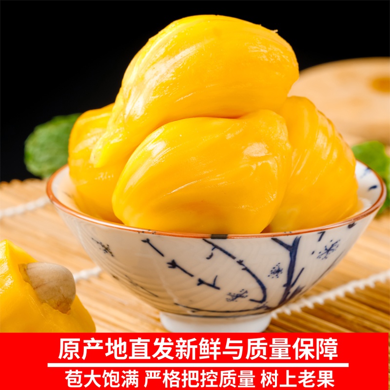 果娇芳旗舰店海南三亚菠萝蜜当季新鲜水果包邮一整个大树波罗蜜非越南泰国红肉2