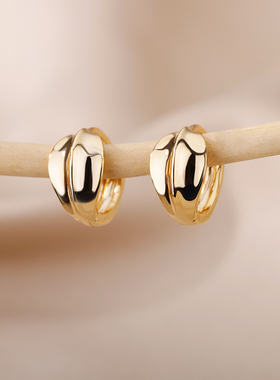 Stainless Steel Chunky Hoop Earrings For Women Friends