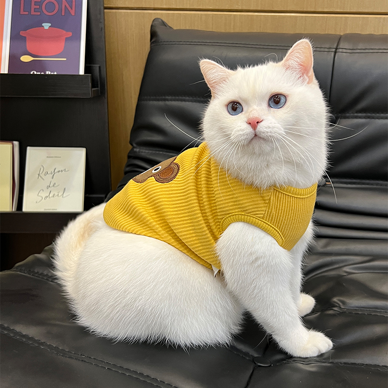 猫咪衣服冬季保暖防掉毛猫猫宠物猫布偶猫蓝猫小猫公猫背心秋冬装-图1